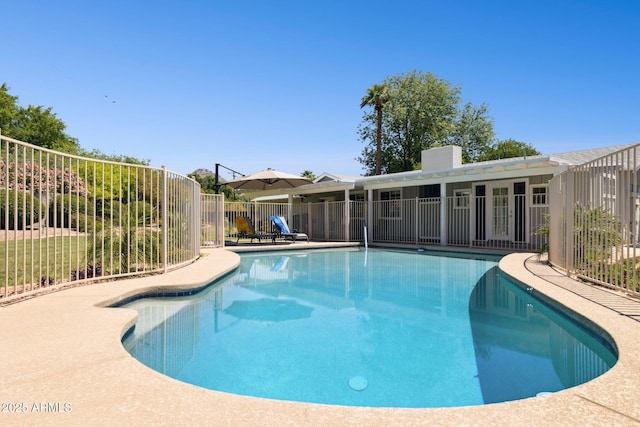 7042 N 13th St, Phoenix, AZ 85020 - view of swimming pool featuring a patio, fence, and a fenced in pool