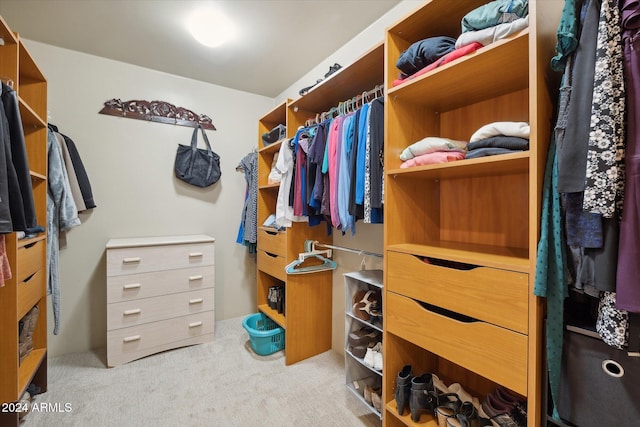 spacious closet featuring light colored carpet