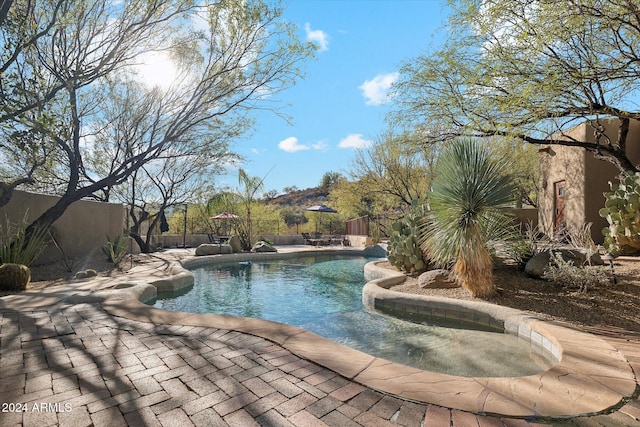 view of pool with a patio area