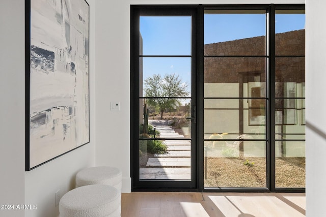 doorway with plenty of natural light and hardwood / wood-style flooring