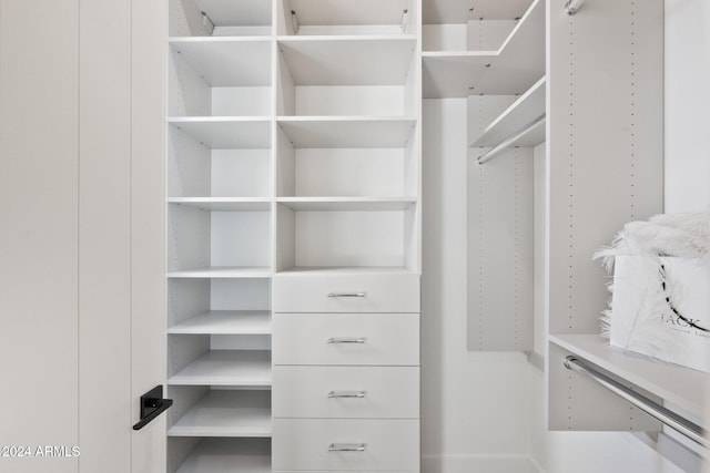 view of spacious closet