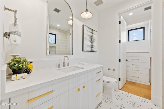 bathroom with wood-type flooring, vanity, and toilet