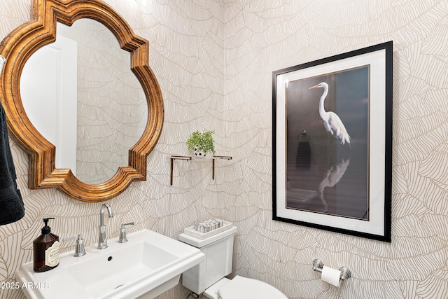 bathroom with a sink and toilet