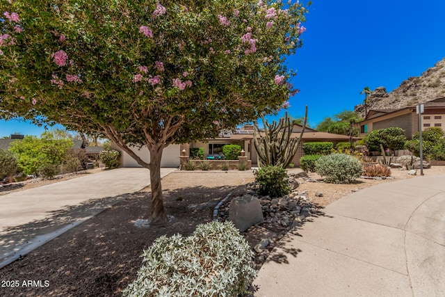 6802 N 26th St, Phoenix, AZ 85016 - obstructed view of property with concrete driveway and a garage