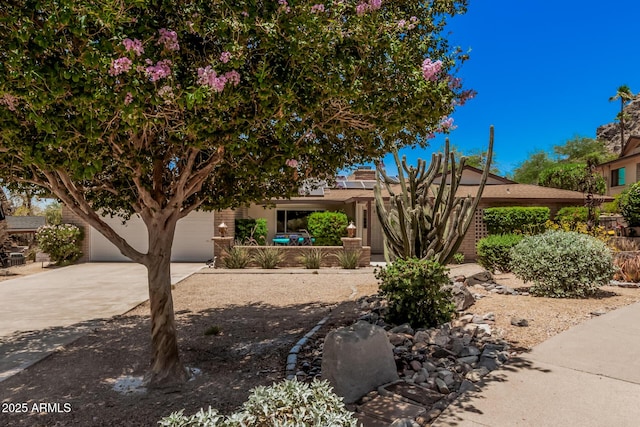6802 N 26th St, Phoenix, AZ 85016 - obstructed view of property featuring concrete driveway, a garage, and stucco siding