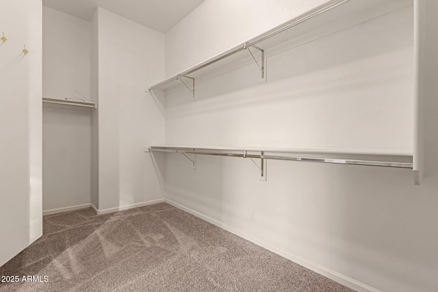 walk in closet featuring carpet flooring