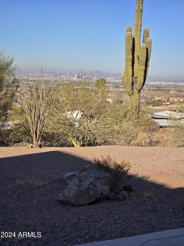 view of yard featuring a mountain view