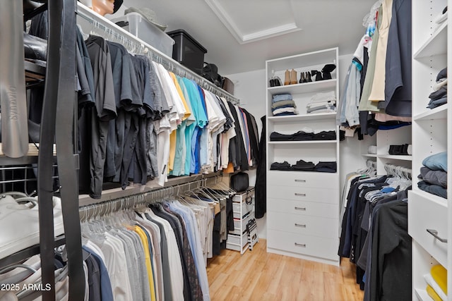 spacious closet featuring attic access and wood finished floors