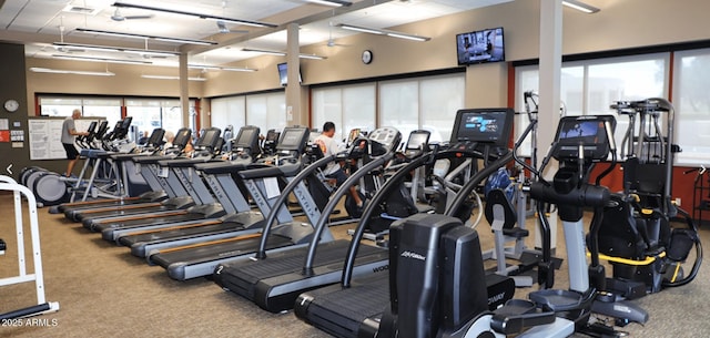 workout area featuring carpet floors