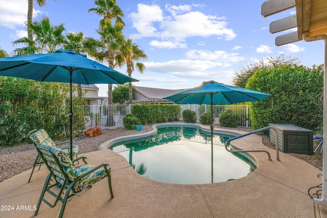 view of swimming pool featuring a patio