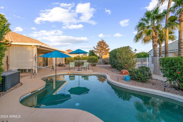 view of pool with a patio area