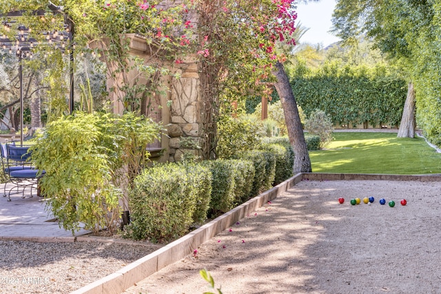 view of community featuring a yard and a patio