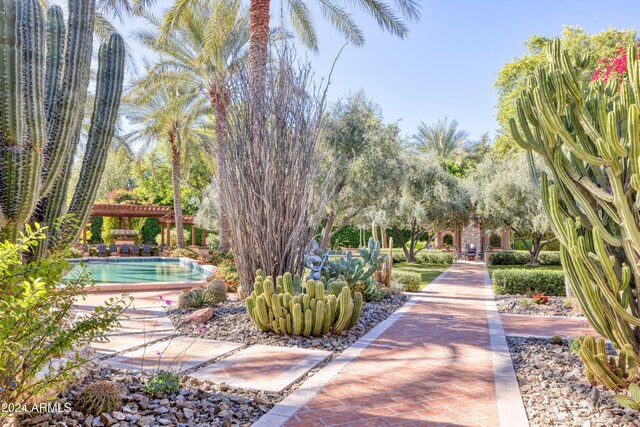 view of community featuring a swimming pool and a pergola