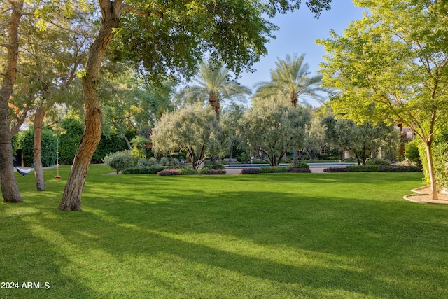 view of home's community featuring a yard