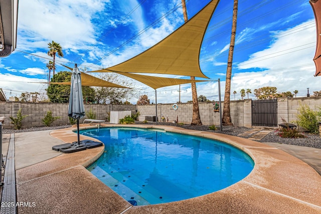 view of swimming pool featuring a diving board, a fenced in pool, a patio, and a fenced backyard