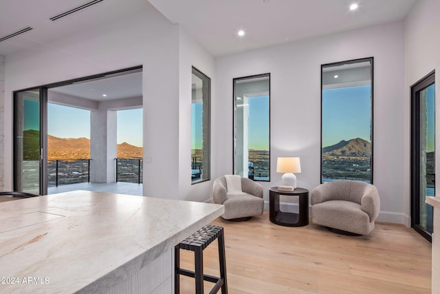 living area with a mountain view and light hardwood / wood-style floors