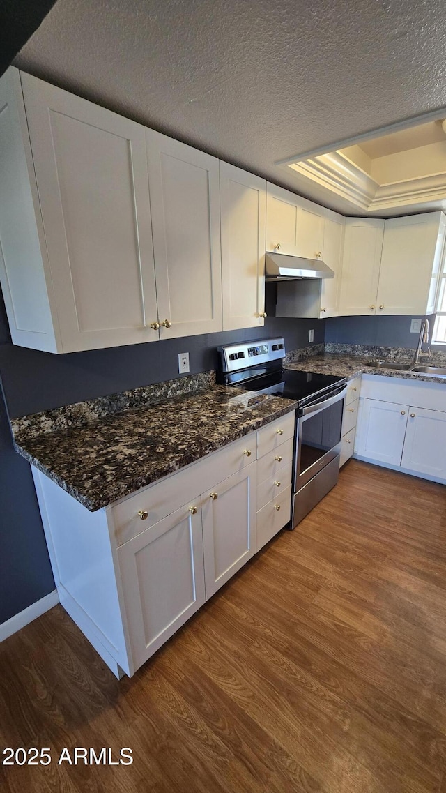11026 N 28th Dr Unit 34, Phoenix, AZ 85029 - kitchen with electric range, under cabinet range hood, dark wood-type flooring, a sink, and white cabinetry