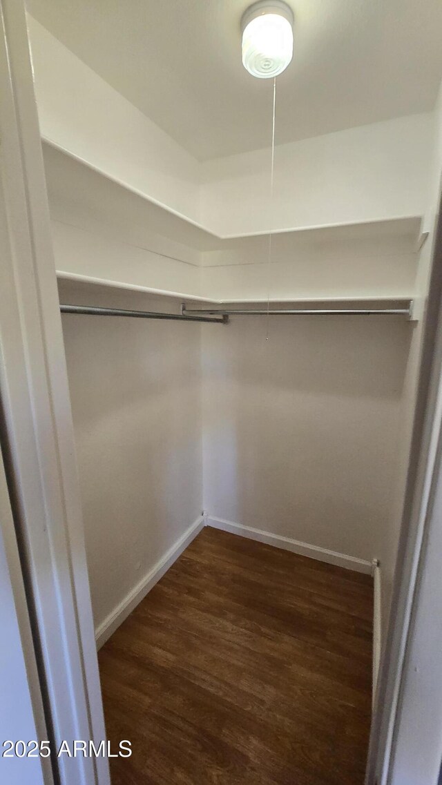 11026 N 28th Dr Unit 34, Phoenix, AZ 85029 - walk in closet with dark wood-style floors and attic access