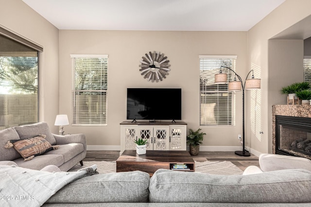 living room with wood-type flooring