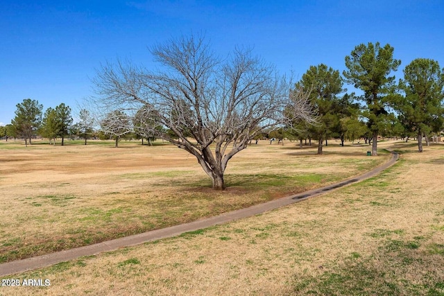 view of yard with a rural view