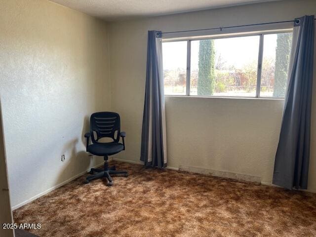 1010 N Florida Ave, Douglas, AZ 85607 - unfurnished room featuring plenty of natural light and carpet