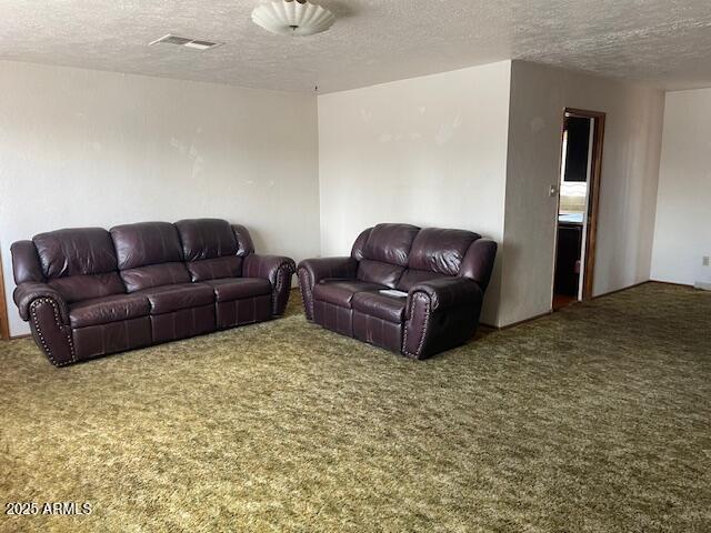 1010 N Florida Ave, Douglas, AZ 85607 - carpeted living area with a textured ceiling