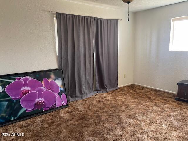 1010 N Florida Ave, Douglas, AZ 85607 - bedroom with carpet and baseboards