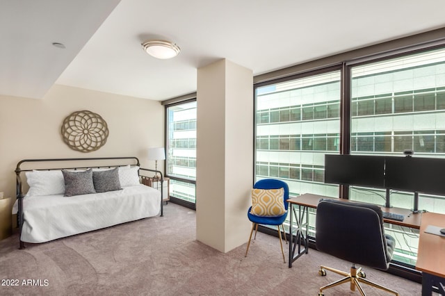 bedroom with light colored carpet