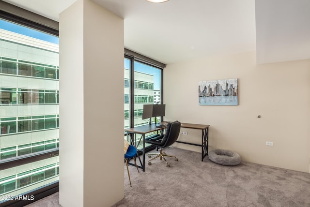 carpeted office space featuring a wall of windows