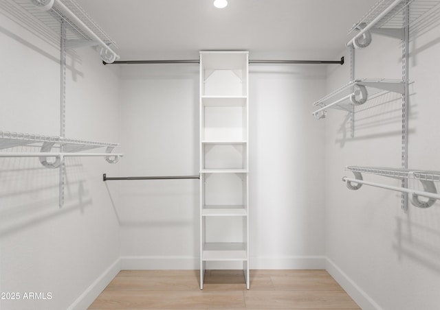 spacious closet featuring light wood finished floors