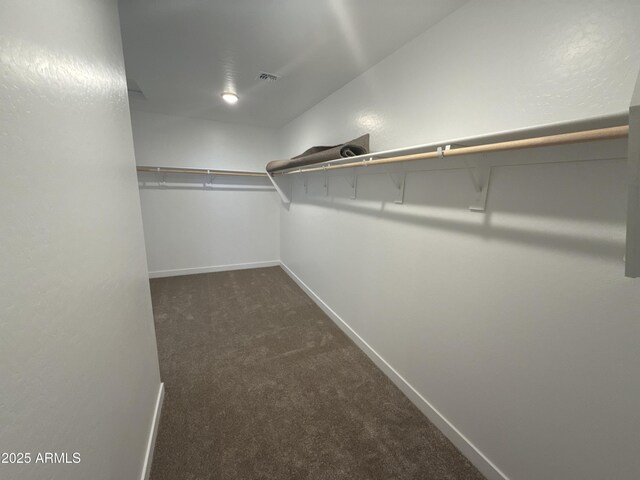 walk in closet with dark carpet