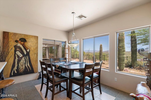 dining room with a wealth of natural light