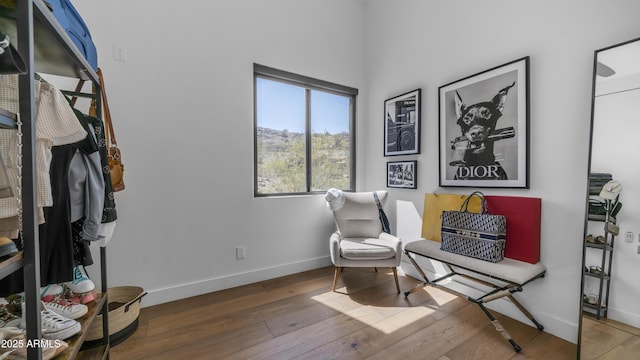 1805 E Rocky Slope Dr, Phoenix, AZ 85048 - sitting room featuring baseboards and wood-type flooring