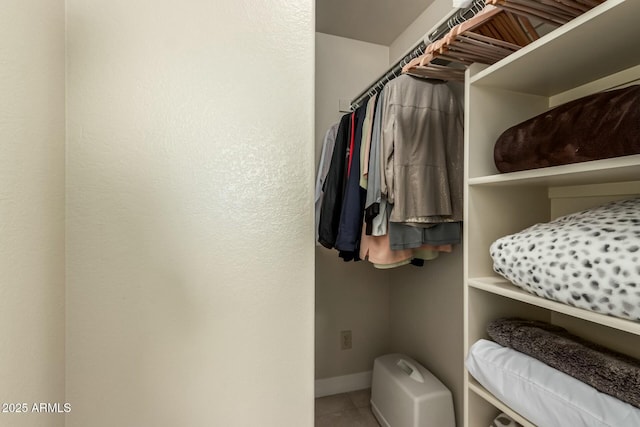 view of walk in closet