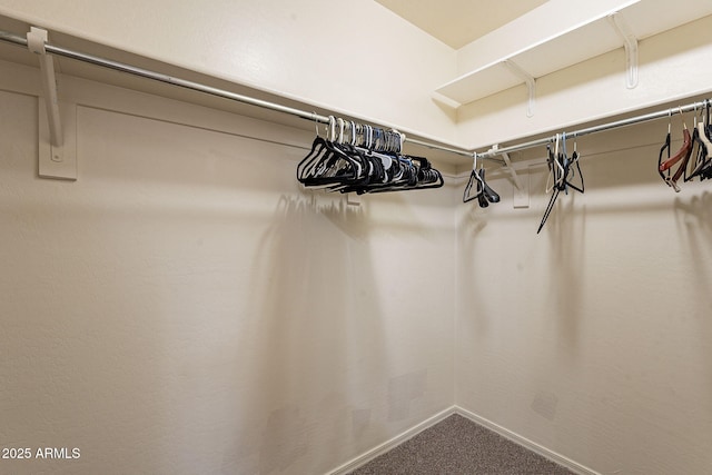 walk in closet featuring carpet flooring