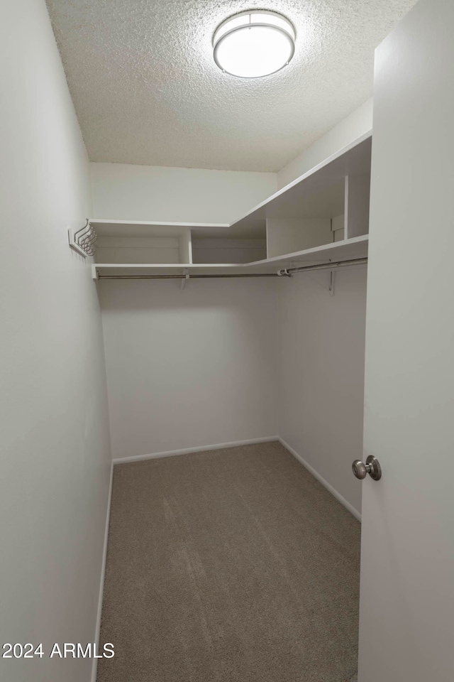 walk in closet with carpet