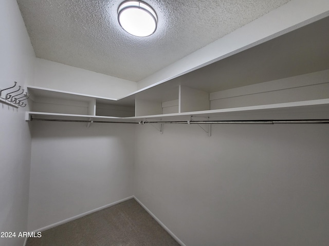 walk in closet with carpet flooring