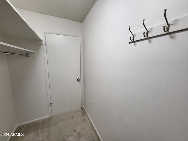 walk in closet featuring light carpet