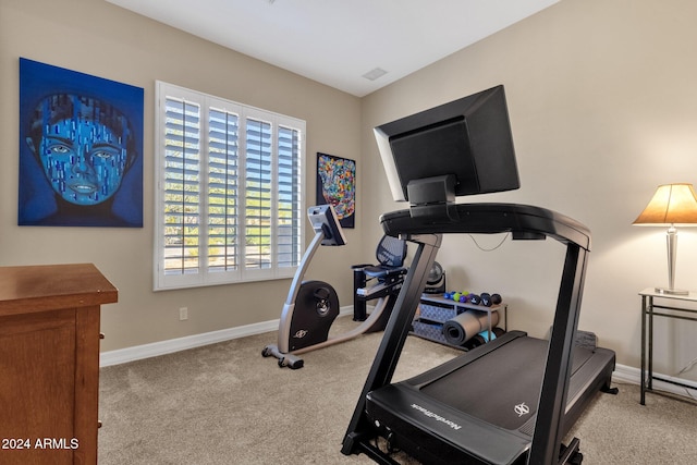 exercise area featuring light carpet