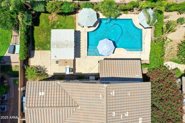 bird's eye view