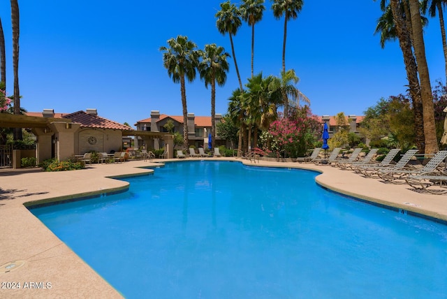 view of pool with a patio