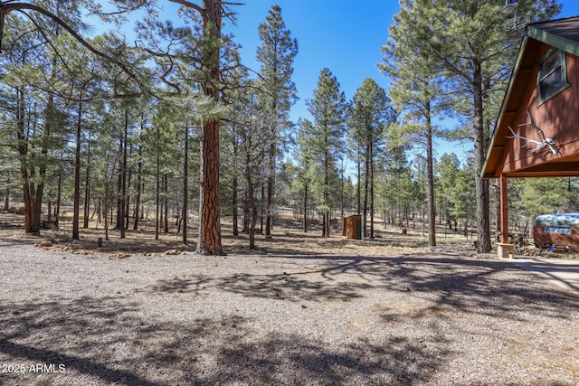 583 Reata Pass, Happy Jack, AZ 86024 - view of yard