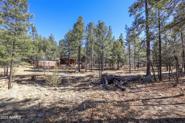 583 Reata Pass, Happy Jack, AZ 86024 - view of yard