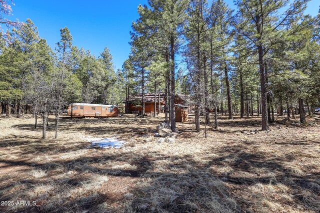 583 Reata Pass, Happy Jack, AZ 86024 - view of yard