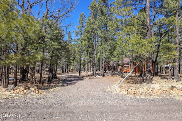 583 Reata Pass, Happy Jack, AZ 86024 - view of street featuring gravel driveway