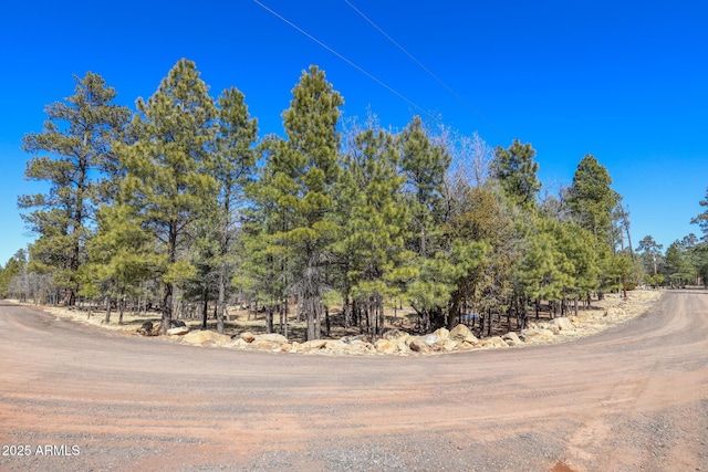 583 Reata Pass, Happy Jack, AZ 86024 - view of road