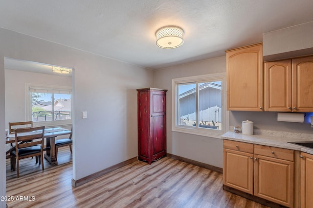 kitchen with light wood-style flooring, healthy amount of natural light, and light countertops