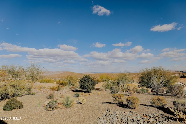 view of local wilderness featuring a mountain view