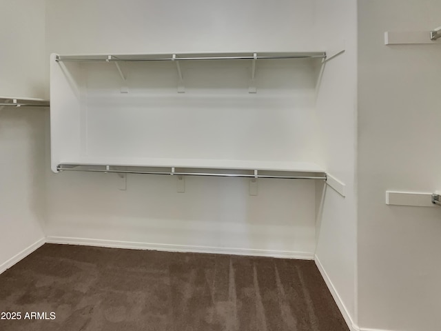 spacious closet featuring dark colored carpet