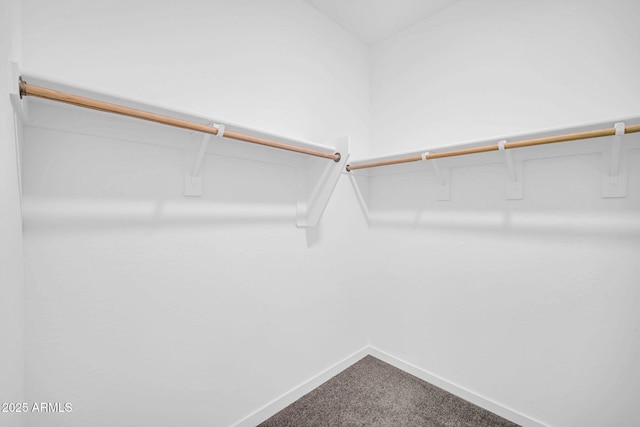 walk in closet featuring dark colored carpet